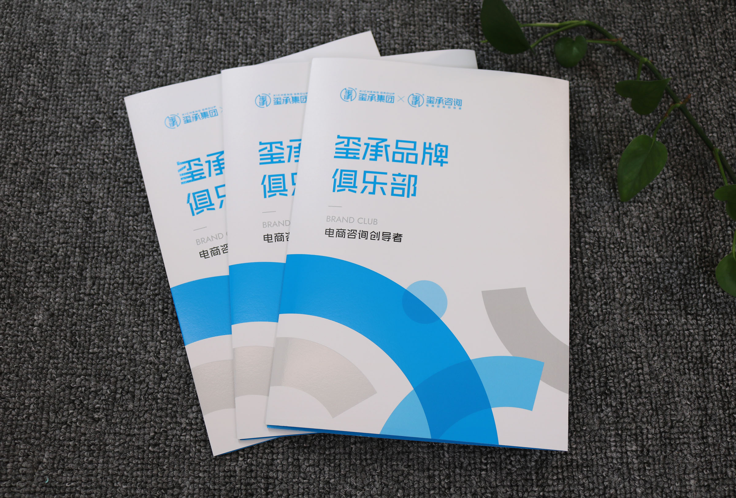 高端四折页定制